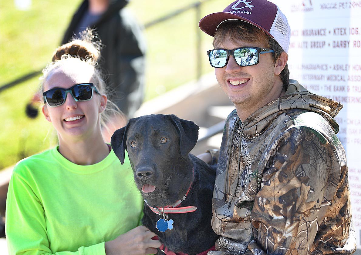 Weiner Fest 2017 5 360.jpg